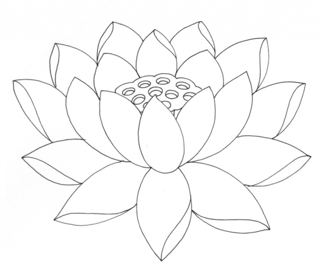 1024x894 Drawing Pictures Of Flowers Lotus