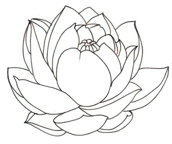 600x500 Drawn Lotus For Kid Flower