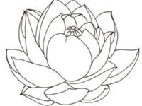 200x150 Lotus Flower Coloring Pages Awesome Simple Lotus Flower Drawing Hd