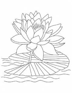 236x304 Lotus Flower Coloring Pages Printable Flower Coloring Pages