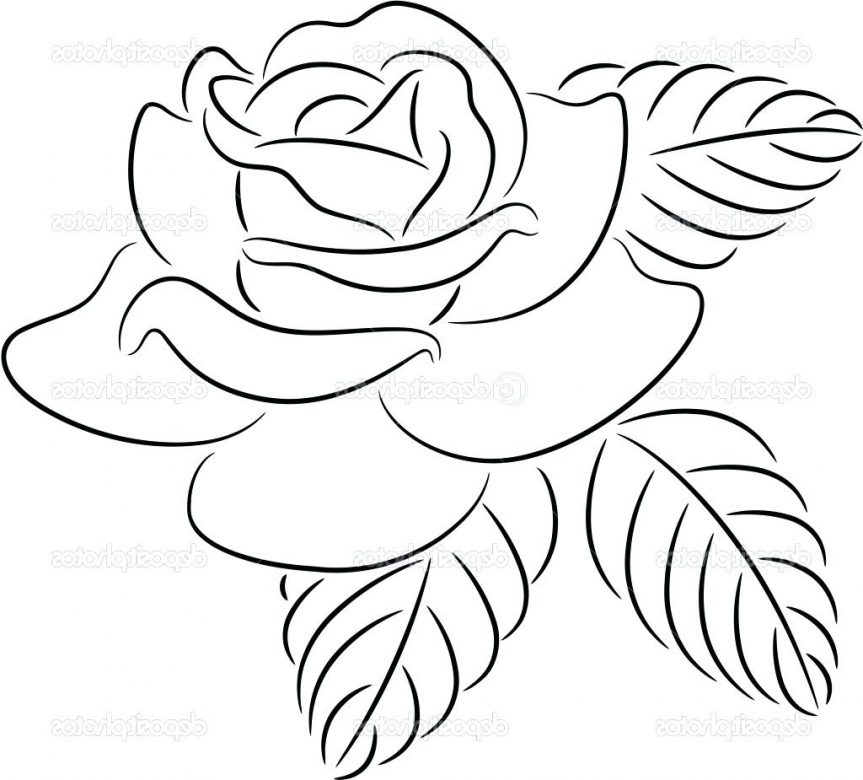 863x780 Rose Flower Outline Drawing Contour Stock Vector Lotus Clip Art