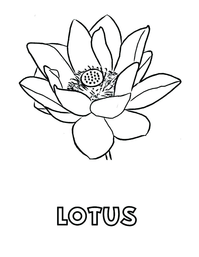791x1024 Coloring Page ~ Coloring Pages Flower Garden Color Spring
