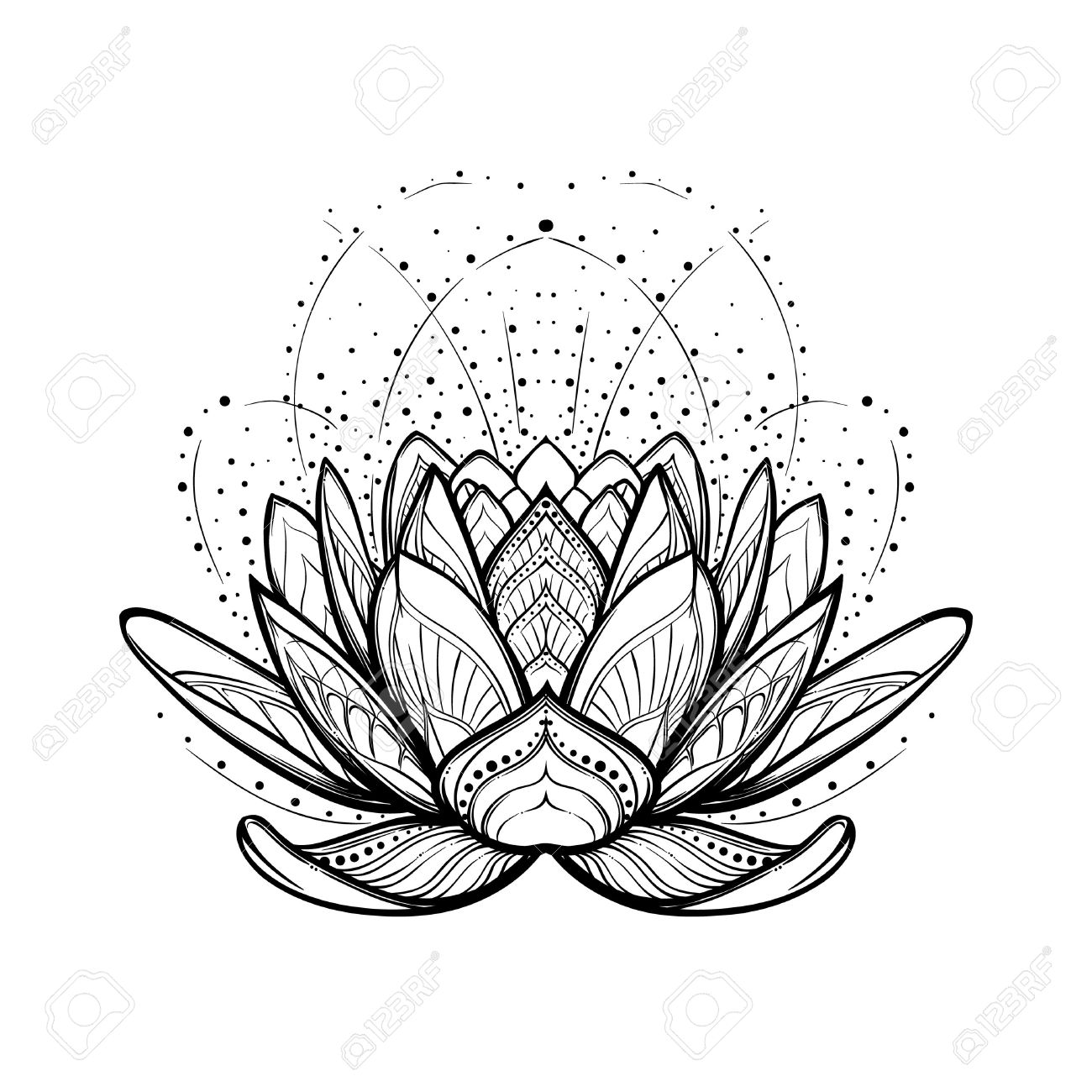 1300x1300 Lotus Flower. Intricate Stylized Linear Drawing Isolated On White