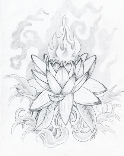 411x517 Lotus By Skelos