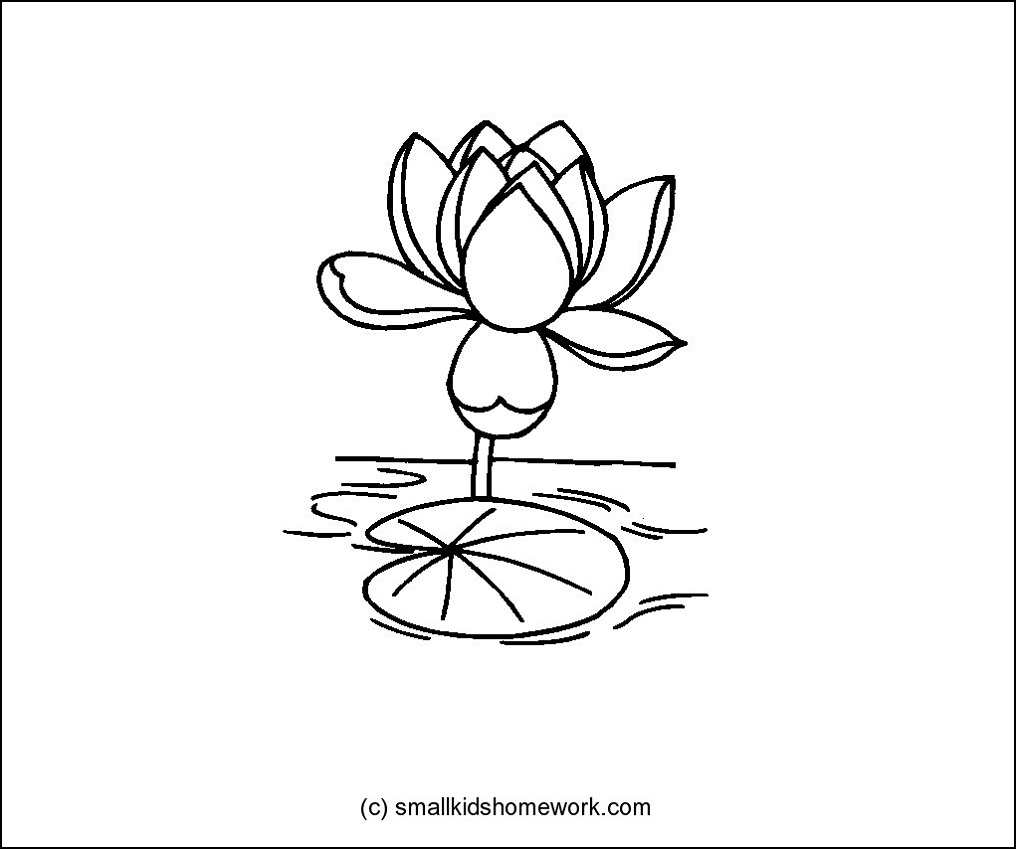 Lotus Flower Drawing Outline at GetDrawings | Free download