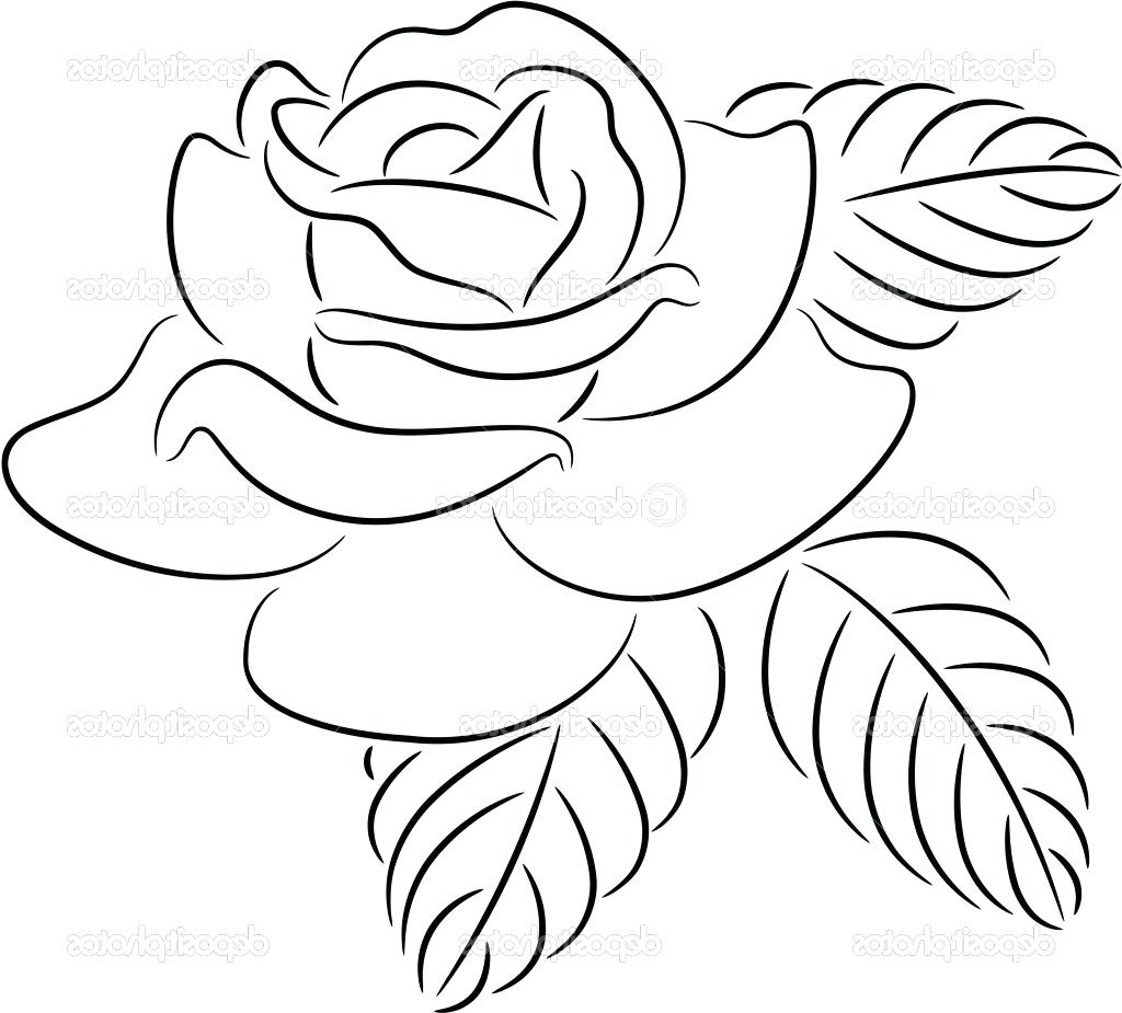 1024x925 Rose Flower Outline Drawing Contour Stock Vector Lotus Clip Art