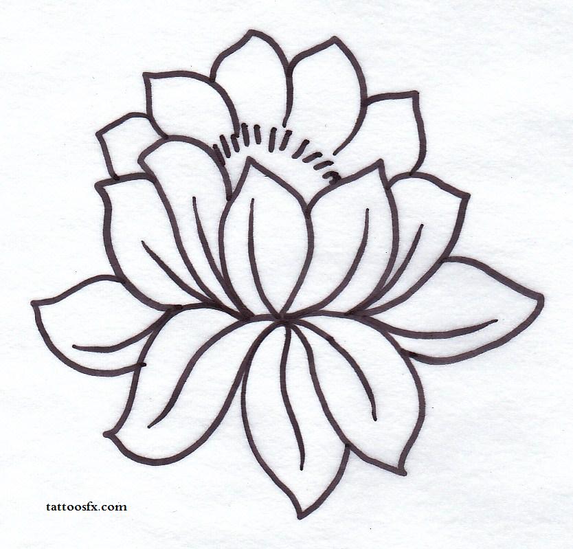 834x799 Simple Black Outline Lotus Flower Tattoo Stencil