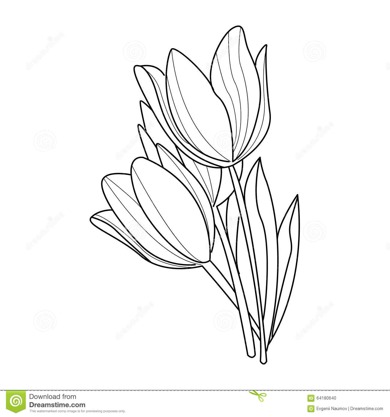 Lotus Flower Drawing Sketch at GetDrawings | Free download
