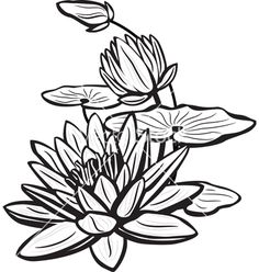 236x248 How To Draw A Lotus Flower Water Lily Projects On My To Do List