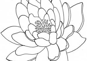 300x210 Japanese Flowers Drawings Easy Japanese Flowers Drawings Archives