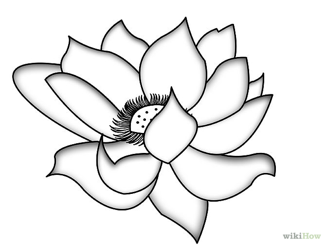 670x503 Japanese Flowers Drawings