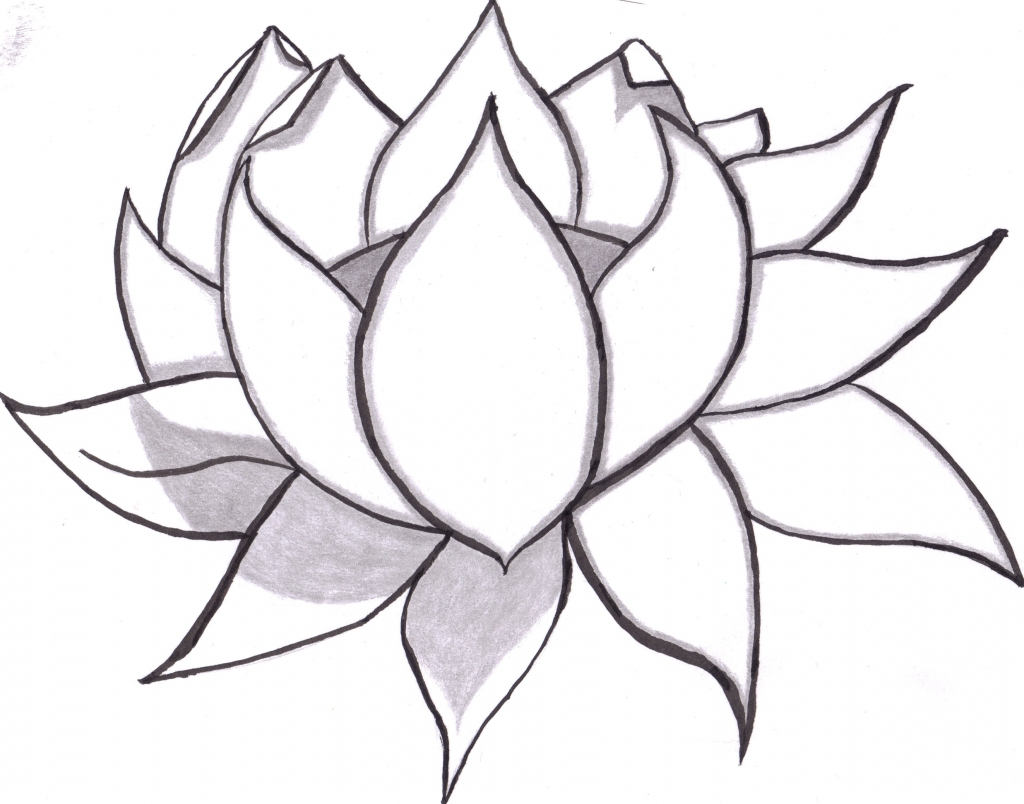 1024x804 Japanese Flower Drawing Unique Lotus Tattoo Design Ideas