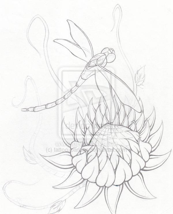 600x742 Collection Of Lotus Dragonfly Tattoo Drawing