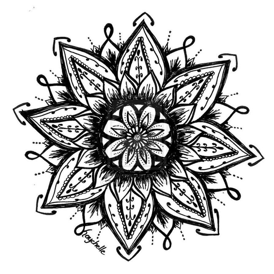 893x895 Lotus Flower Drawing Henna Wallpapers Gallery
