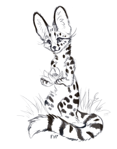 500x633 Sketch Lotus Flower Tumblr