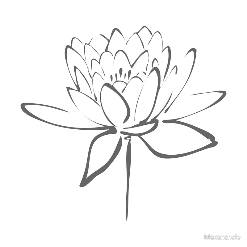 800x800 Lotus Flower Calligraphy (Smoke Grey) By Makanahele Redbubble