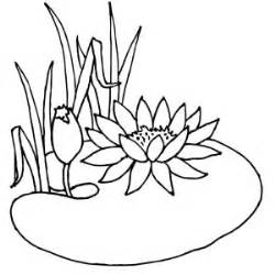 250x250 Pond Outline Flowers