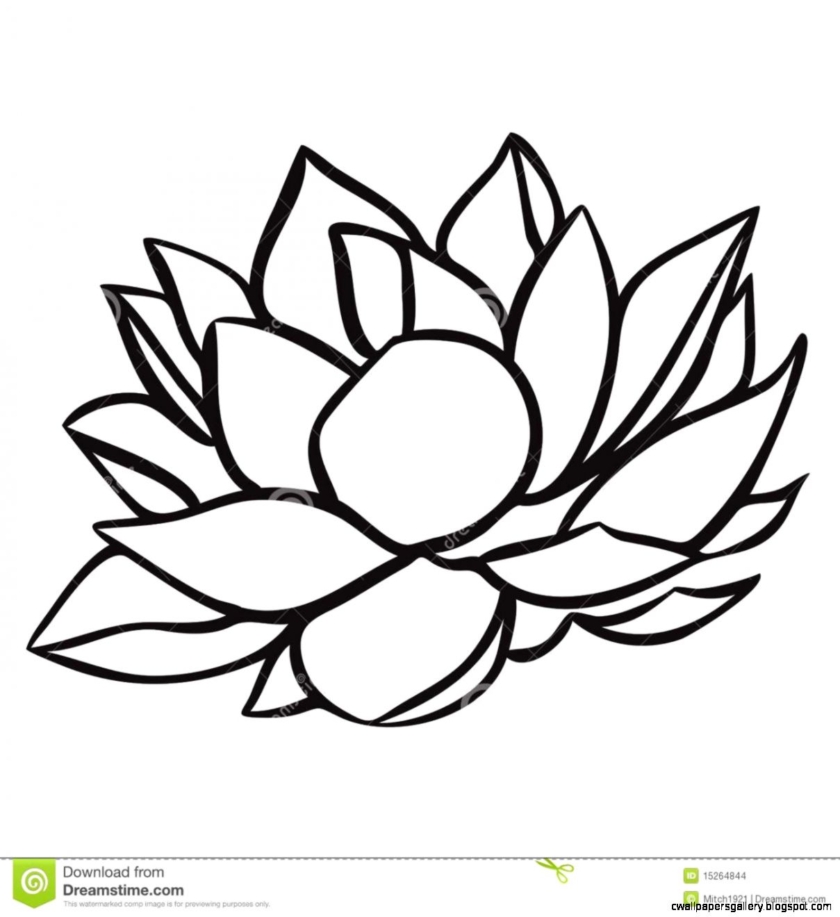 1209x1320 Simple Water Lily Drawing Wallpapers Gallery