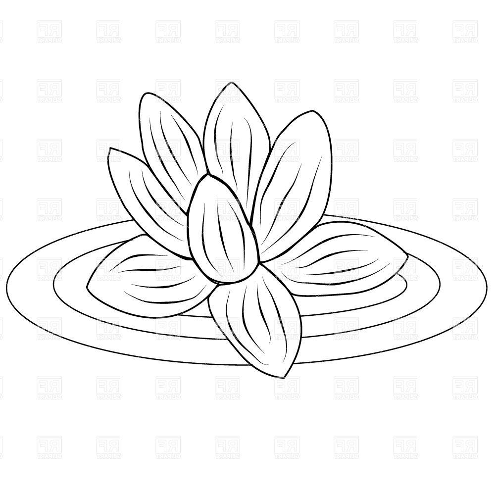 1000x1000 Unique Lotus Flower Clip Art Black And White Vector Photos