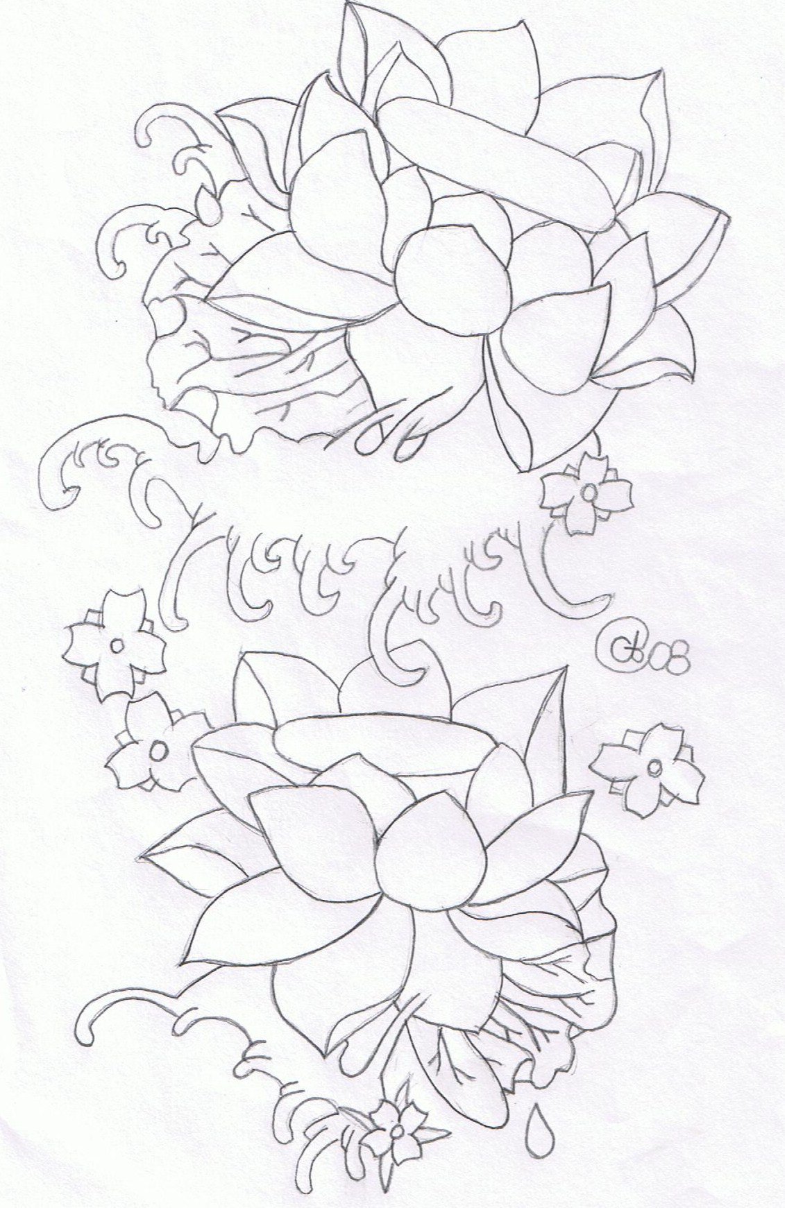 1131x1741 Water Lotus Flowers By Cyndylouhous