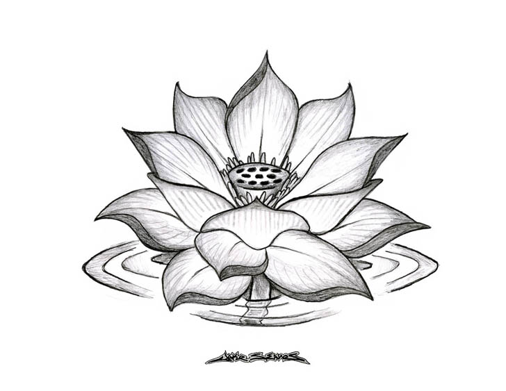 728x563 Lotus Flower Tattoos Meaning Me Flower Tattoos