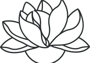 300x210 Line Drawing Of Lotus Flower Lotus Flowerjuddess