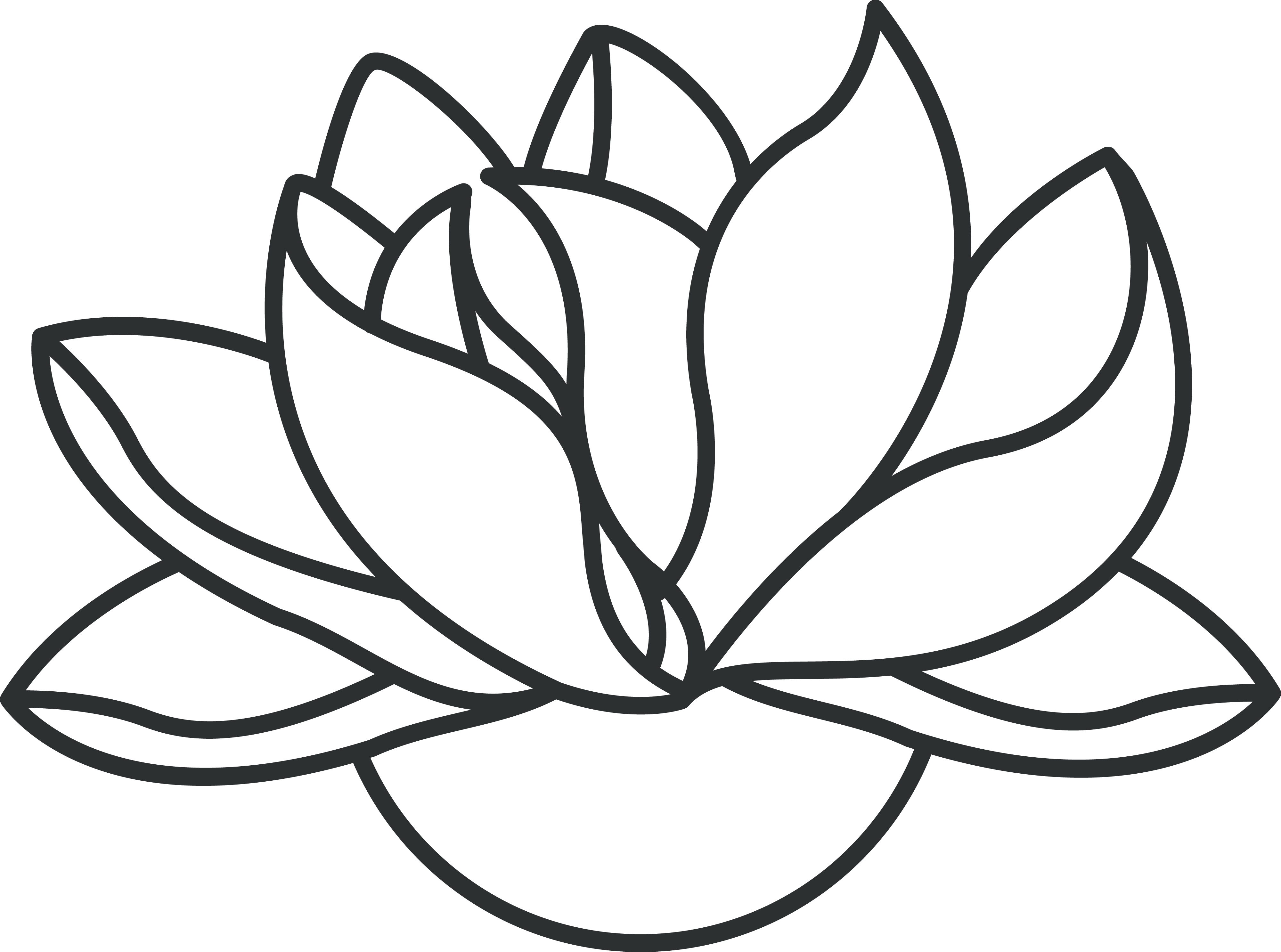 4000x2973 Lotus Flower Drawing Jpg Image Lotus Flower Line Drawing Free