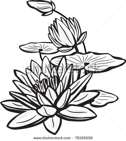 419x470 Asian Lotus Flower Sketch Of Lotus Flowers Stock Vector 78195058