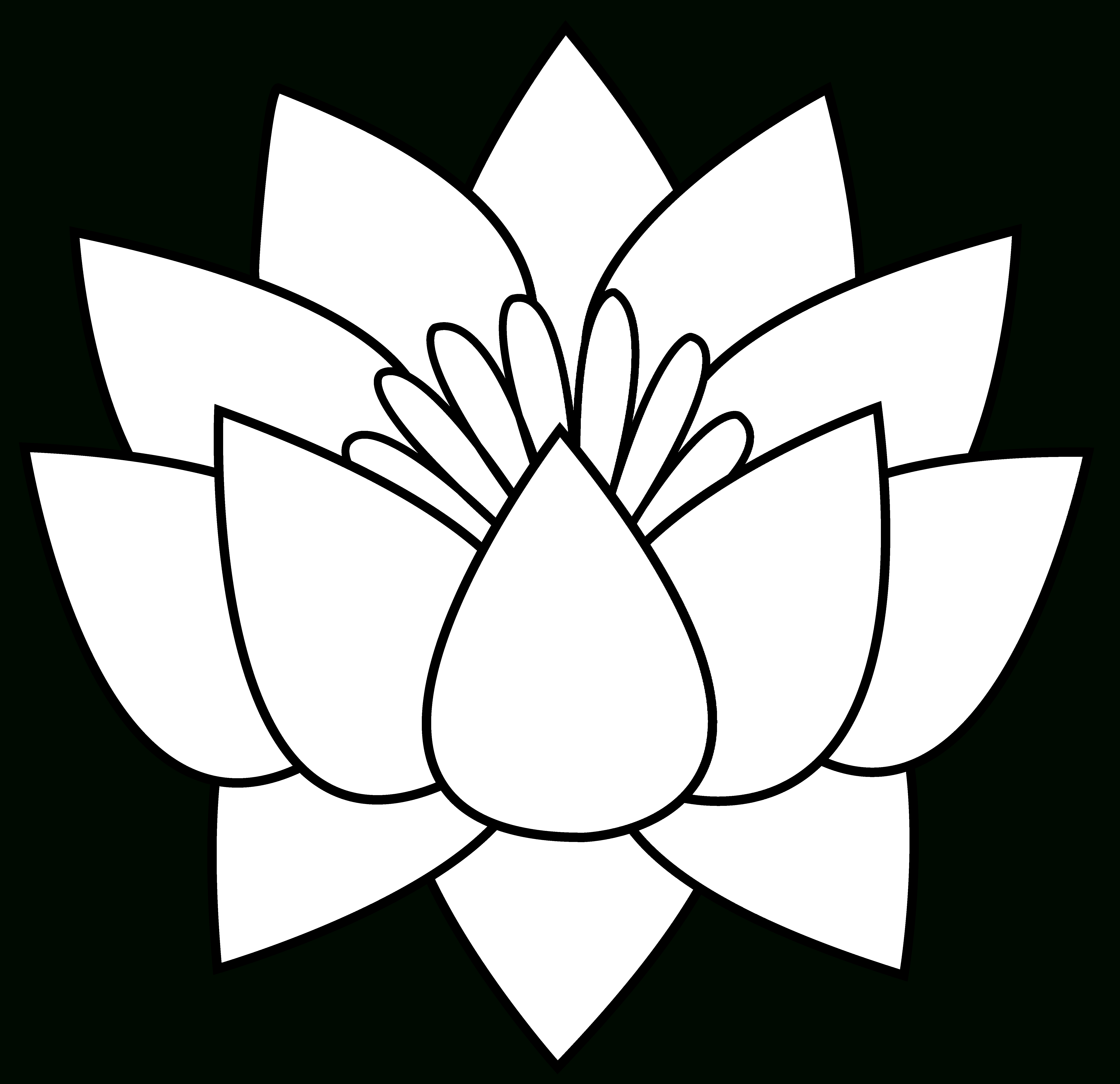 Lotus Flower Flower Drawing Lotus Flower Drawing Flower Coloring Pages ...