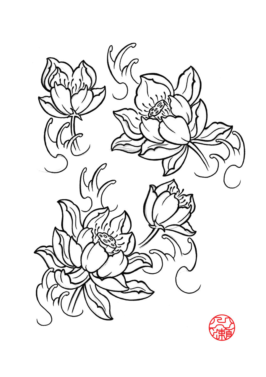 900x1273 Drawn Elower Lotus Blossom
