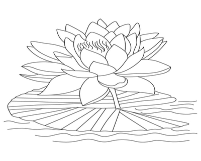 400x322 Lotus Flower Coloring Page Picture