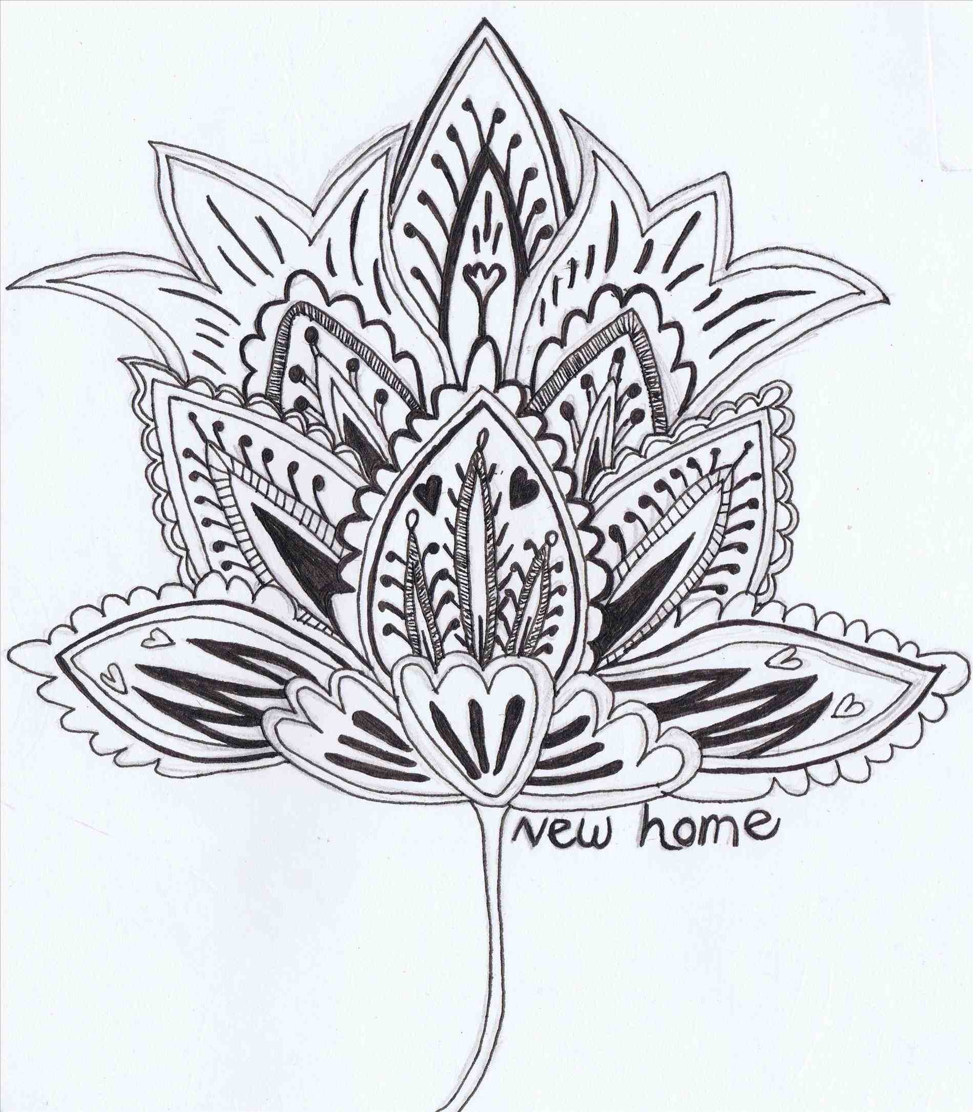 1899x2171 Copayonline Black Lily Flower Pencil Drawing Tumblr And White S Ua