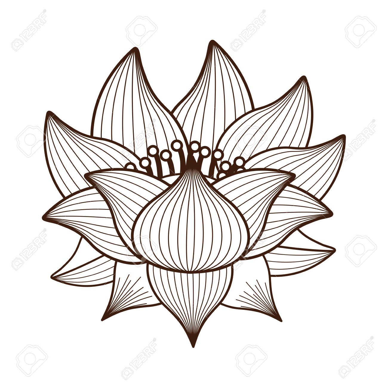 1300x1300 Lotus Flower Drawing Isolated Icon Design, Vector Illustration