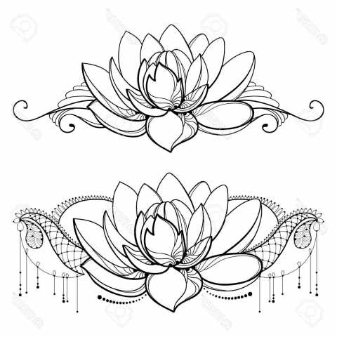 480x480 Family Drawing With Outline Lotus Flower, Decorative Lace