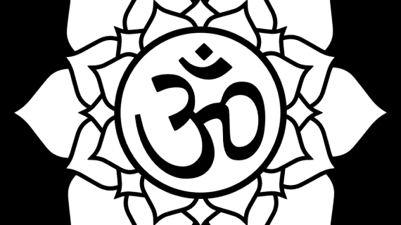 570x320 Lotus Flower Drawing