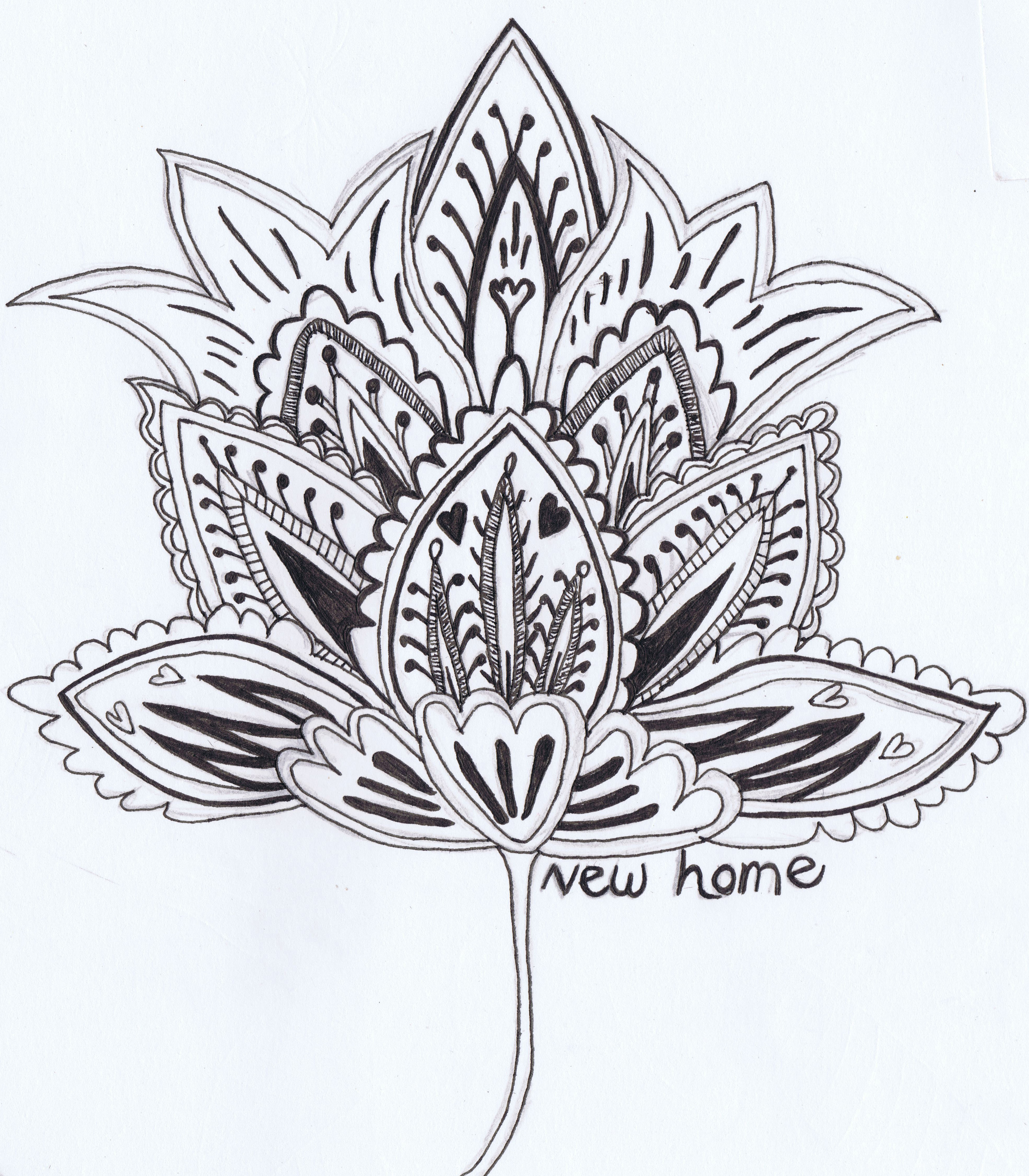 3934x4496 Set Of Hand Drawn Flower Sketches Rose And Lotus Isolated Save