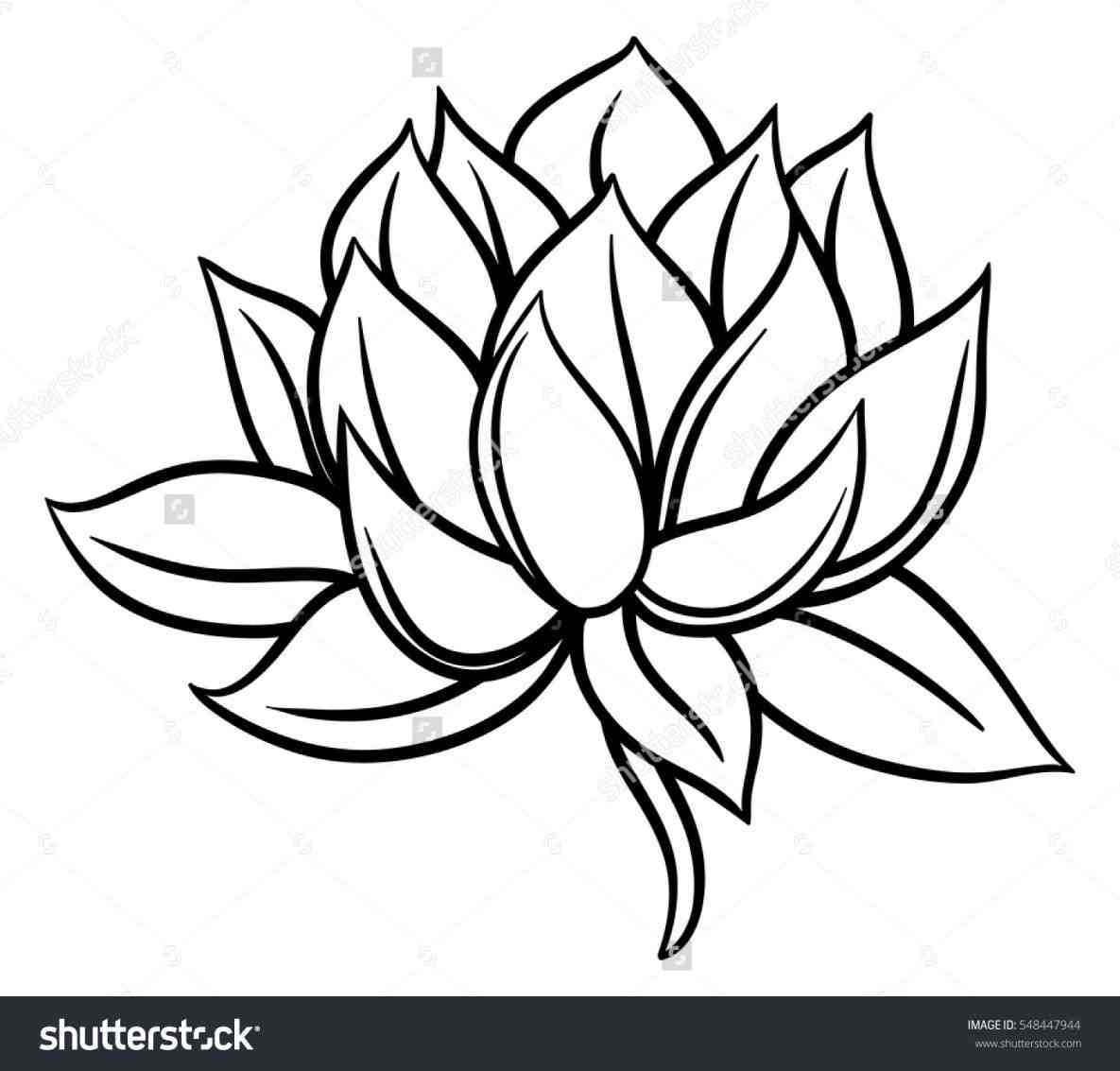 1185x1133 Black Lotus Drawing