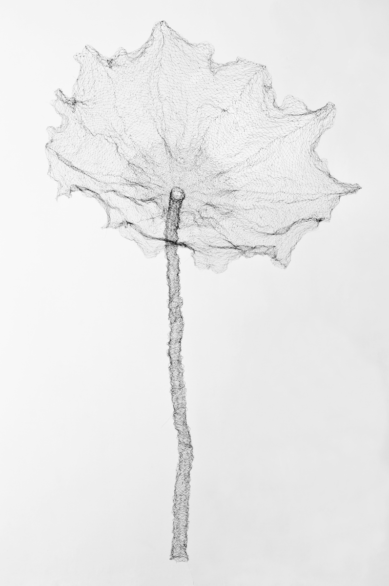 797x1200 Jayoung Yoon The Lotus Leaf 1