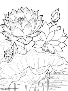 236x314 Vector Set Of Hand Drawn Lotus Flowers And Leaves. Sketch Floral