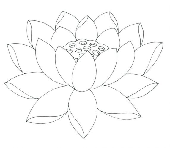 572x500 Coloring Pages Flower Coloring Pages Printable. Flower Coloring