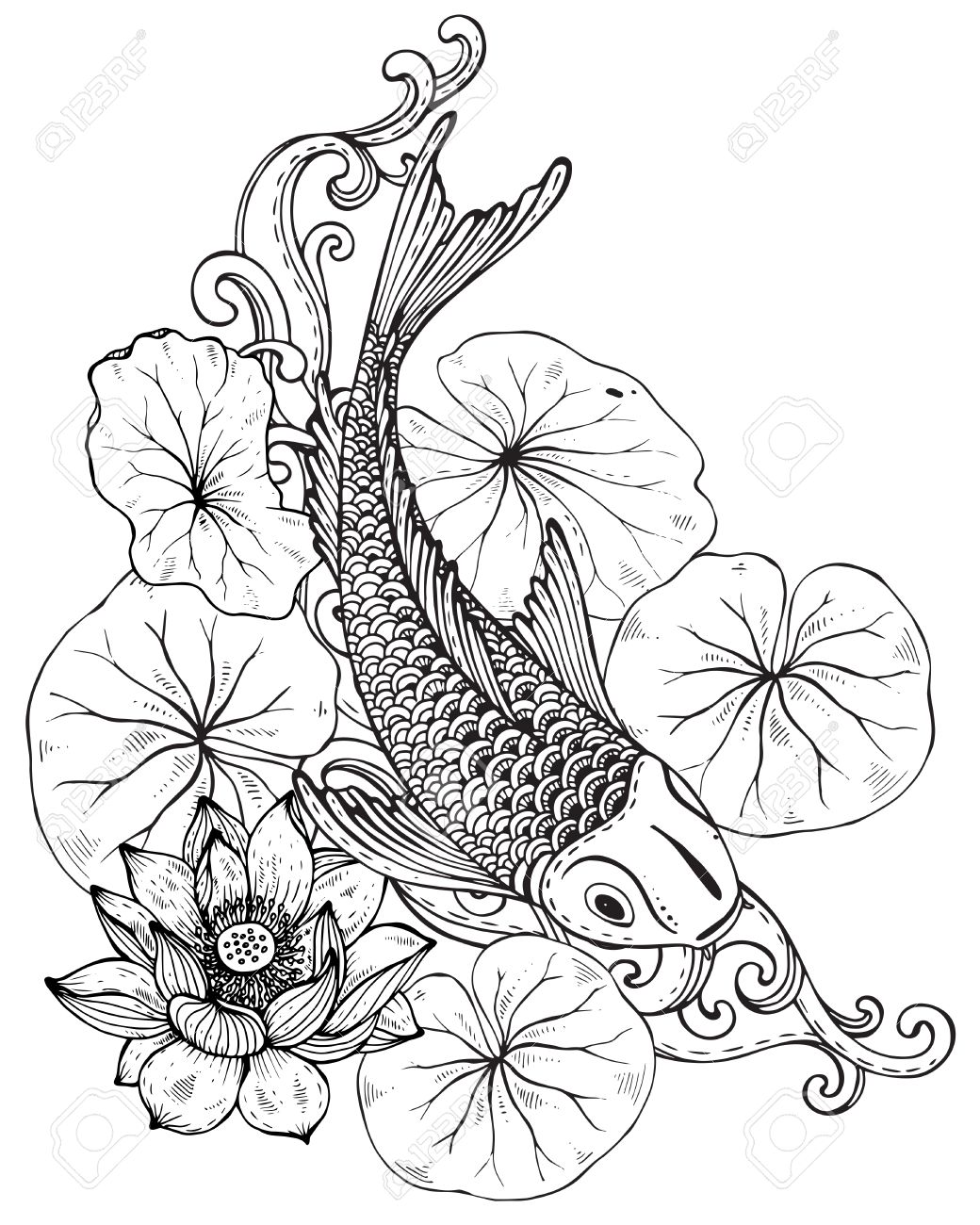 1040x1300 Hand Drawn Vector Illustration Of Koi Fish (Japanese Carp)