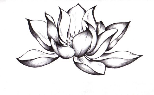640x394 How Draw A Lotus Flower Tattoo Design How