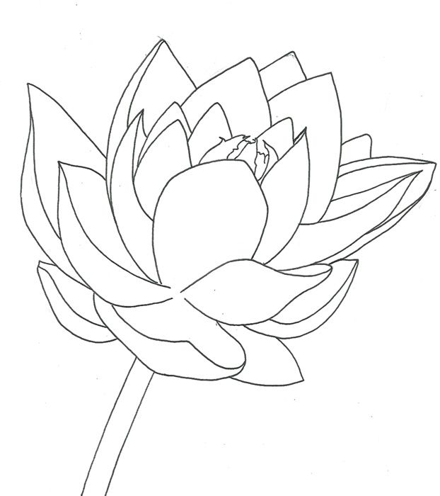 622x700 442 Best Ideas Images On Draw, Lily And Abstract