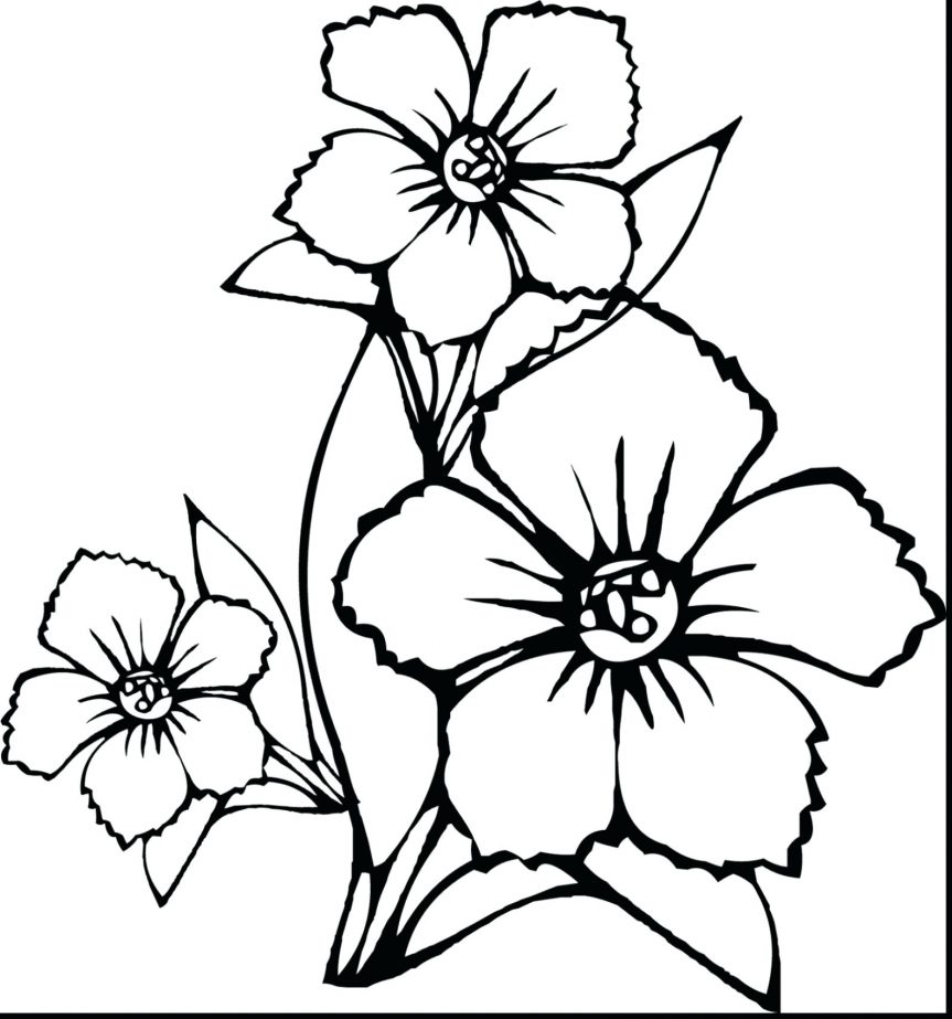 863x923 Astounding How To Draw Flower Coloring Page With Pages Of Flowers