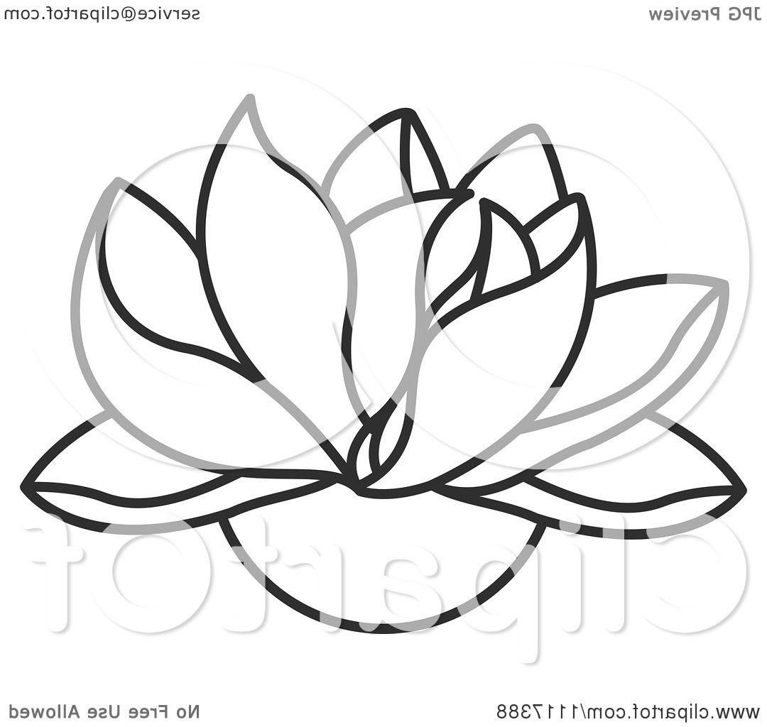 1080x1024 Top Clipart Of Black And White Lotus Flower Royalty Free Vector