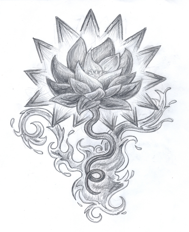 800x980 Collection Of Best Lotus Tattoo Drawing
