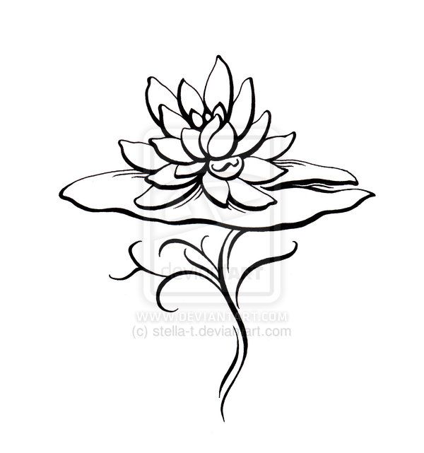 600x641 Drawn Lotus Lily Pad Flower
