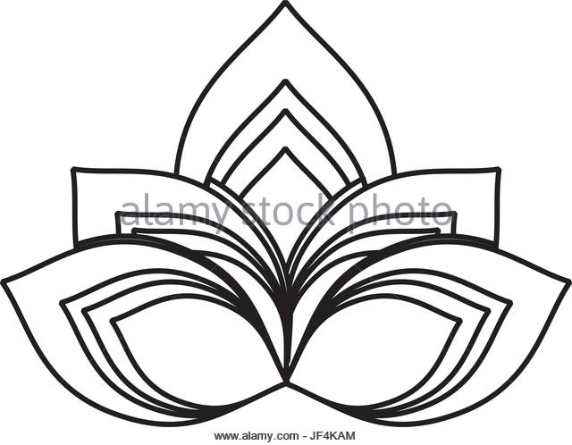 640x498 White Lotus Flower Stock Vector Images