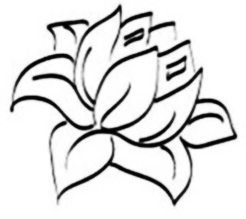800x710 Lotus Flower Drawing Sketchdrawings Sketch Of Lotus Drawing