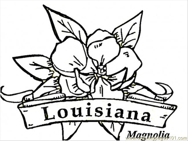 650x487 Louisiana Flowers Coloring Page